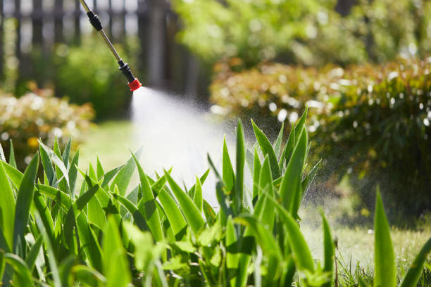 24/7 Emergency Cockroach Control experts in Melissa, TX