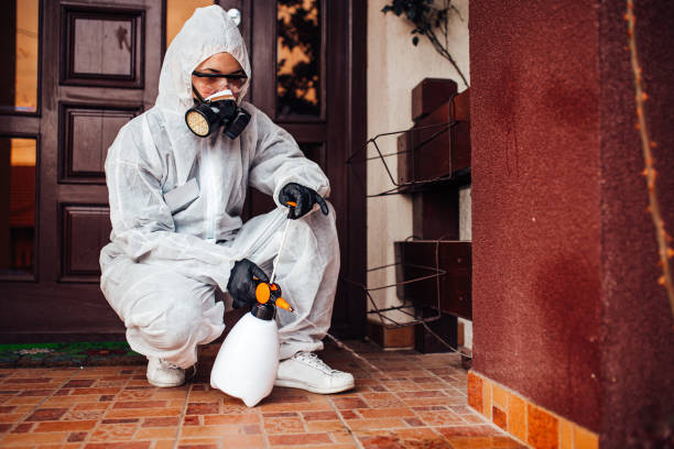 Reliable Cockroach Control contractor in Melissa, TX by Nex Pest Control